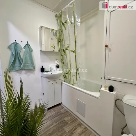 Pronájem bytu 1+1, Děčín - Děčín II-Nové Město, Lipová, 36 m2