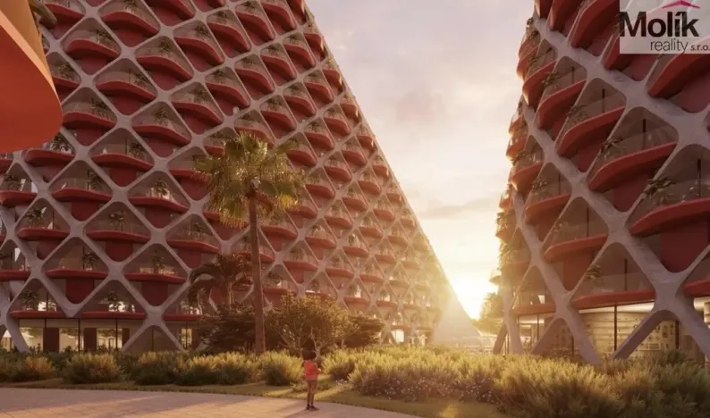 Prodej bytu 2+kk, Golem, 165 m2