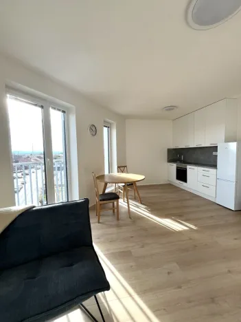 Pronájem bytu 1+kk, České Budějovice - České Budějovice 5, Dobrovodská, 41 m2