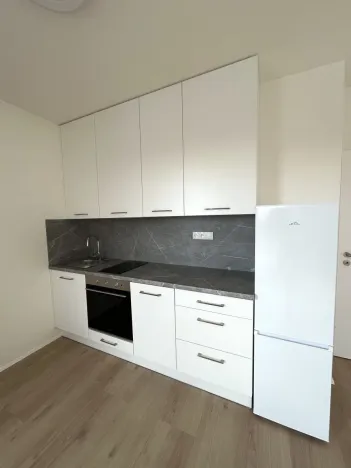 Pronájem bytu 1+kk, České Budějovice - České Budějovice 5, Dobrovodská, 41 m2