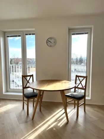Pronájem bytu 1+kk, České Budějovice - České Budějovice 5, Dobrovodská, 41 m2