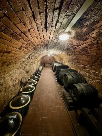 Prodej ubytování, Valtice - Úvaly, 101 m2