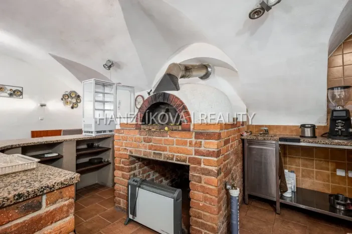 Prodej vícegeneračního domu, Chlum u Třeboně, Hejtmanská hráz, 1253 m2