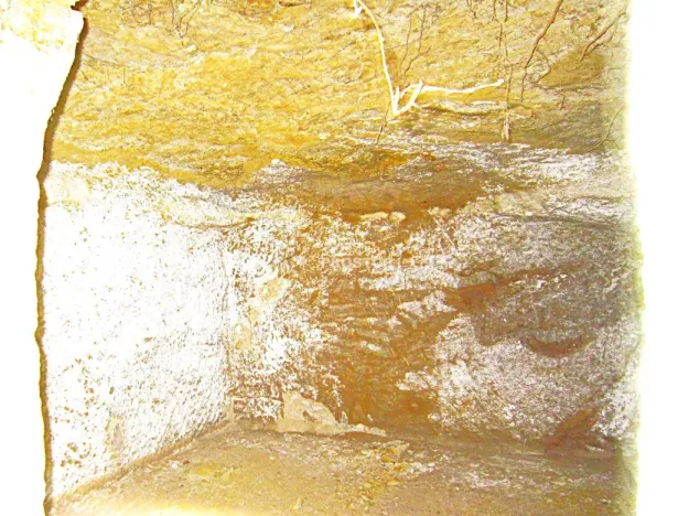 Prodej rodinného domu, Chorušice - Velký Újezd, 110 m2