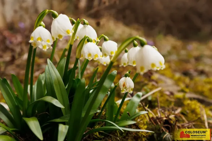 Prodej rodinného domu, Drnovice, 110 m2