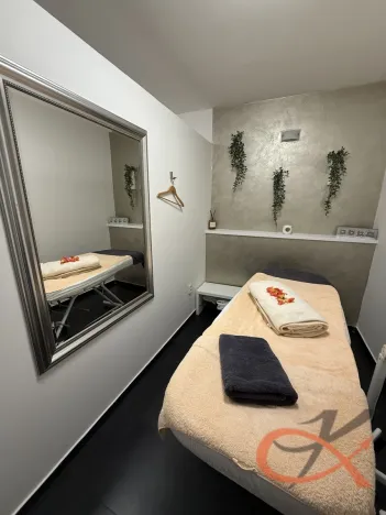 Prodej komerční nemovitosti, Prostějov, Blahoslavova, 250 m2