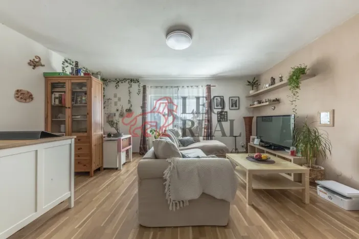 Prodej rodinného domu, Mladá Boleslav - Čejetice, Gorkého, 200 m2