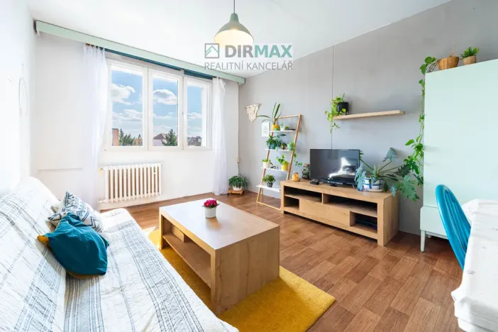 Prodej bytu 3+1, Plzeň - Jižní Předměstí, 17. listopadu, 62 m2