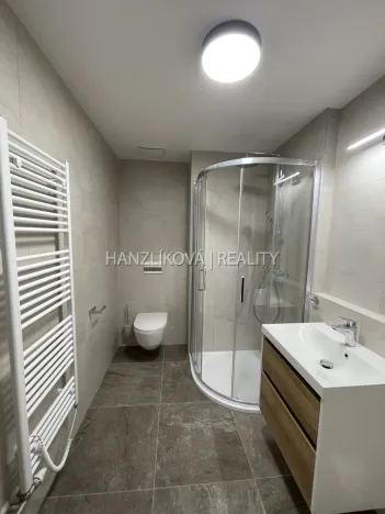 Pronájem bytu 1+kk, České Budějovice, Hálkova, 24 m2