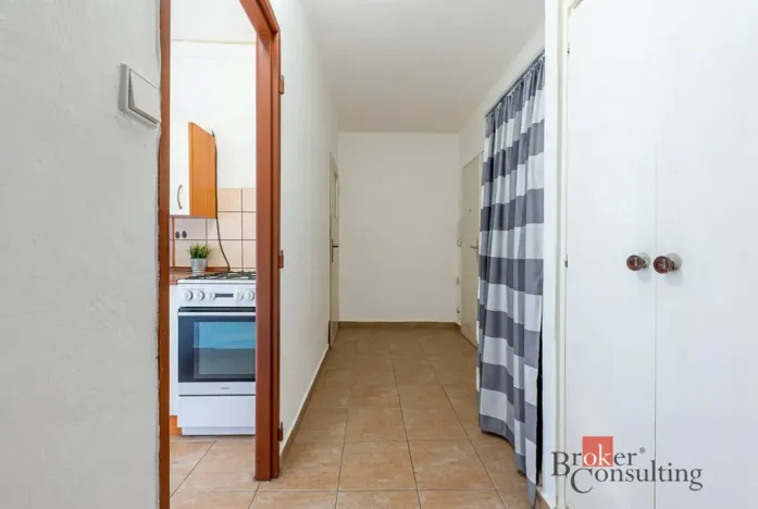 Prodej bytu 1+1, Plzeň, Smrková, 42 m2