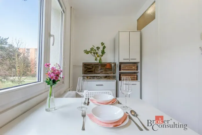 Prodej bytu 1+1, Plzeň, Smrková, 42 m2