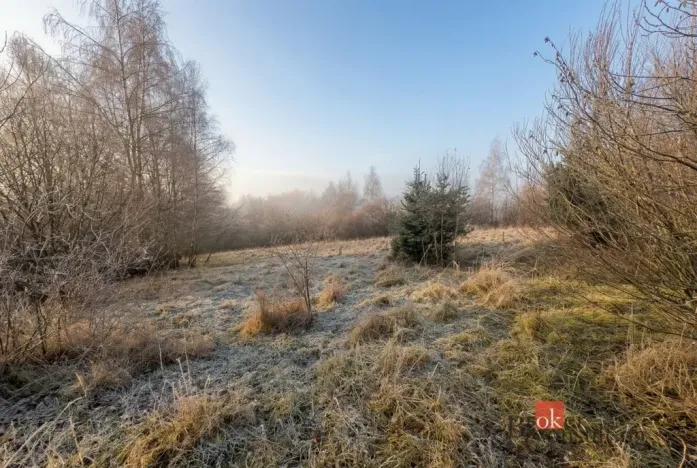 Prodej pozemku pro bydlení, Strašín, 3363 m2