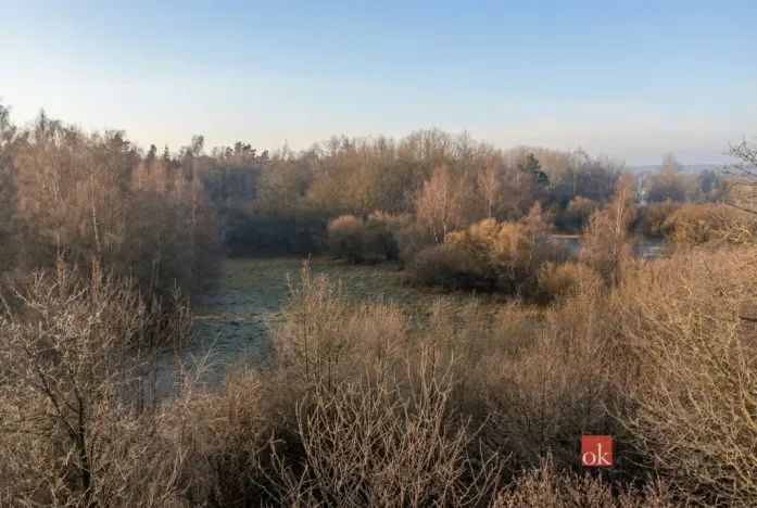 Prodej pozemku pro bydlení, Strašín, 3363 m2