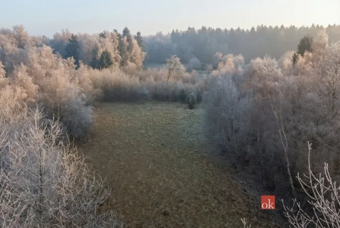 Prodej pozemku pro bydlení, Strašín, 3363 m2