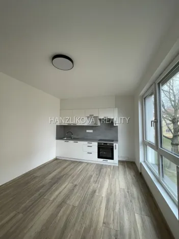 Pronájem bytu 2+kk, České Budějovice, Hálkova, 40 m2