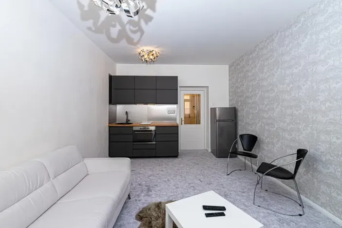 Pronájem bytu 1+kk, Praha - Vinohrady, Záhřebská, 30 m2
