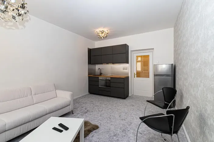 Pronájem bytu 1+kk, Praha - Vinohrady, Záhřebská, 30 m2