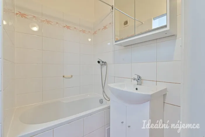 Pronájem bytu 1+1, Brno, Novoměstská, 29 m2