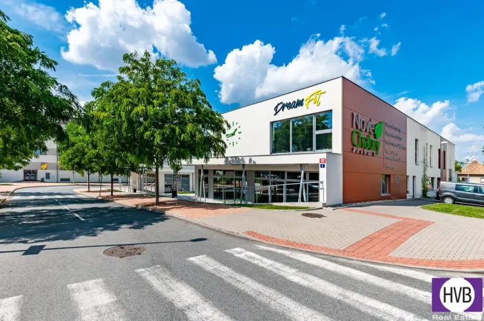 Pronájem bytu 4+kk, Praha, K Beranovu, 227 m2