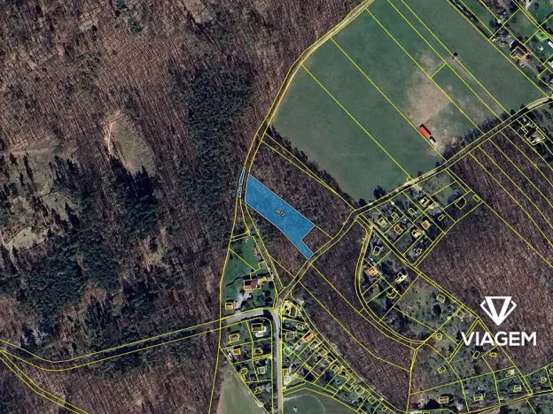 Prodej lesa, Vráž, 2989 m2