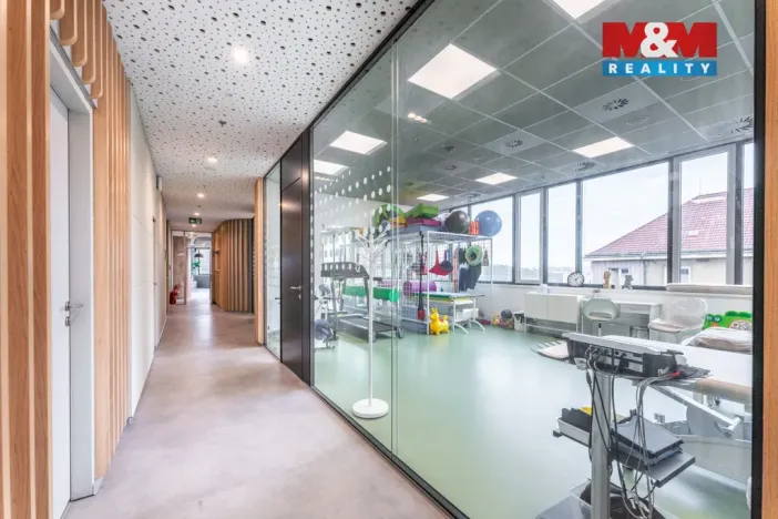 Pronájem komerční nemovitosti, Praha, Jihlavská, 30 m2