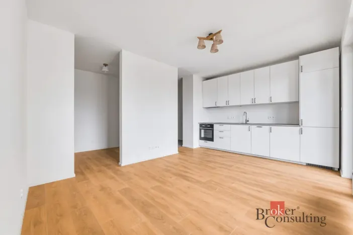 Pronájem bytu 1+kk, Plzeň - Východní Předměstí, Zahradní, 42 m2