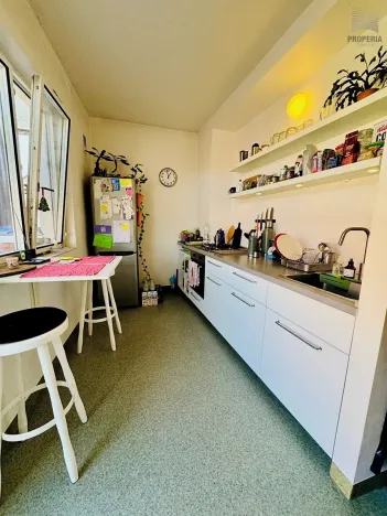 Pronájem bytu 1+1, Brno, Údolní, 51 m2