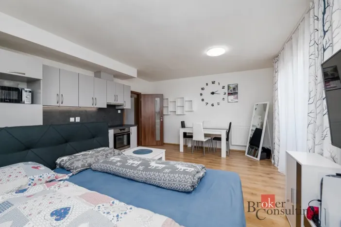 Pronájem bytu 1+kk, Heřmanova Huť - Vlkýš, U Pondu, 40 m2