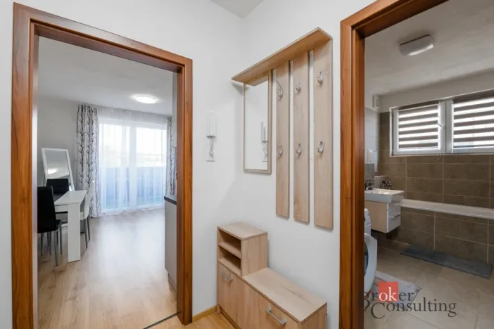 Pronájem bytu 1+kk, Heřmanova Huť - Vlkýš, U Pondu, 40 m2