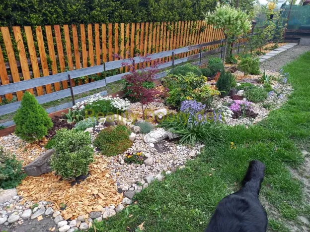 Prodej bytu 2+1, Opava, Tyršova, 66 m2