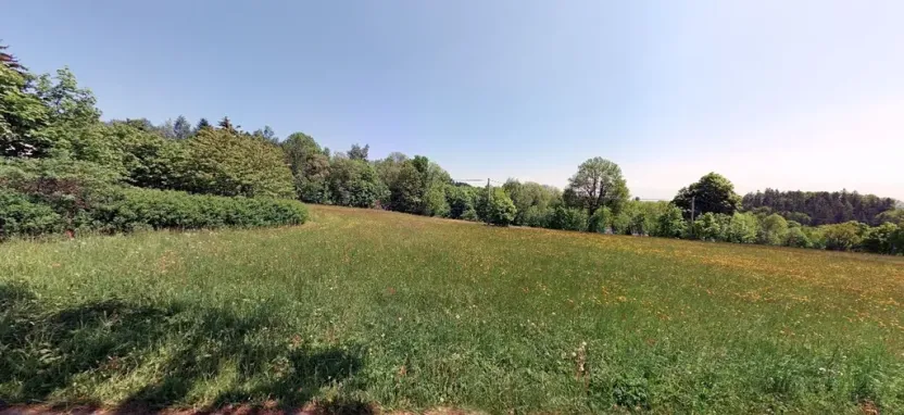 Prodej louky, Rokytnice v Orlických horách, 5356 m2