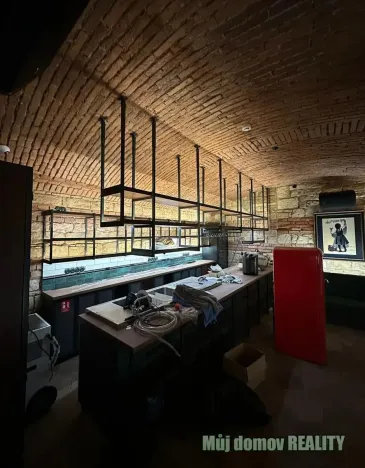 Pronájem restaurace, Praha - Nové Město, Ječná, 209 m2
