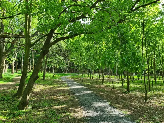 Pronájem kanceláře, Praha - Chodov, Tomíčkova, 8000 m2