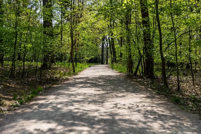 Pronájem kanceláře, Praha - Chodov, Tomíčkova, 8000 m2