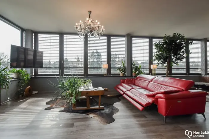 Pronájem bytu 1+kk, Olomouc, Kubíčkova, 97 m2