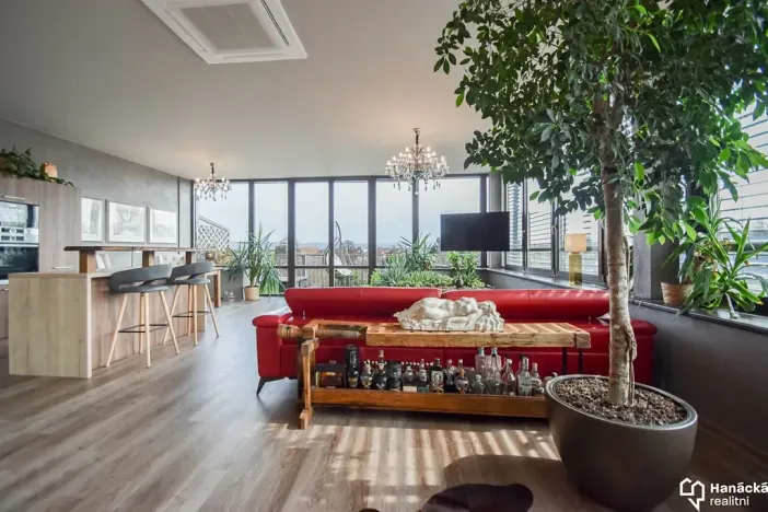 Pronájem bytu 1+kk, Olomouc, Kubíčkova, 97 m2