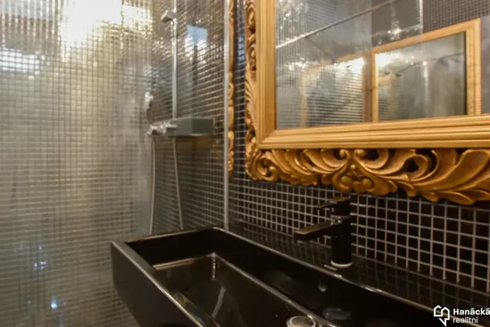 Pronájem bytu 1+kk, Olomouc, Kubíčkova, 97 m2