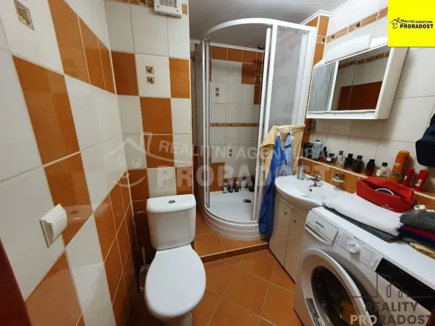 Pronájem bytu 1+1, Ústí nad Labem, Švestková, 38 m2