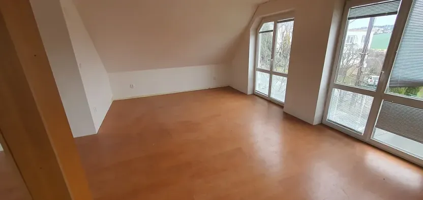 Prodej rodinného domu, Veľké Zálužie, Slovensko, Vinohrady, 155 m2