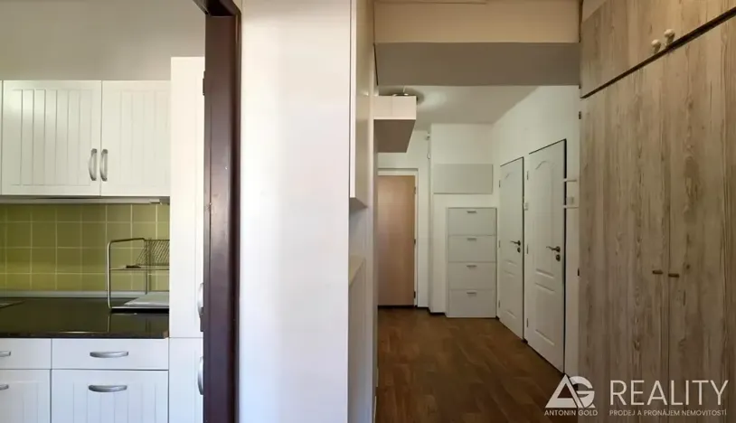 Prodej bytu 3+1, Praha - Vinohrady, náměstí Míru, 62 m2