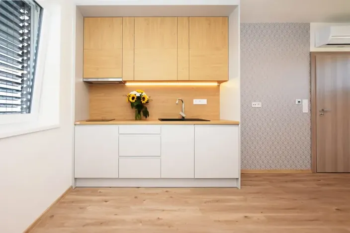 Pronájem bytu 2+kk, Pardubice, Na Hrázi, 33 m2