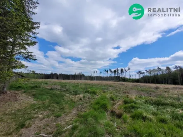 Prodej lesa, Počátky - Heřmaneč, 72939 m2