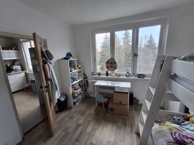 Prodej bytu 3+1, Cheb, Americká, 61 m2