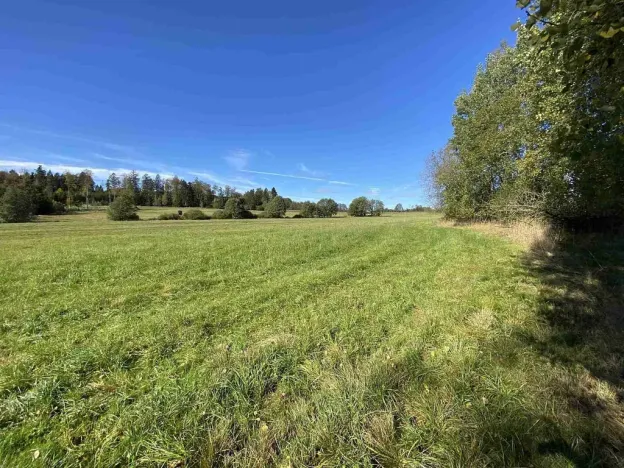 Prodej pole, Nový Rychnov - Čejkov, 4706 m2