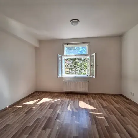 Pronájem bytu 1+kk, Praha - Bubeneč, U zeměpisného ústavu, 26 m2