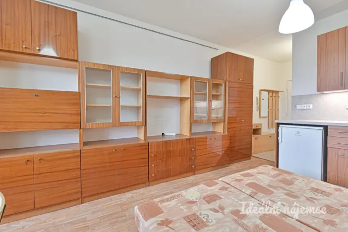 Pronájem bytu 1+kk, Brno - Žabovřesky, Voroněžská, 26 m2