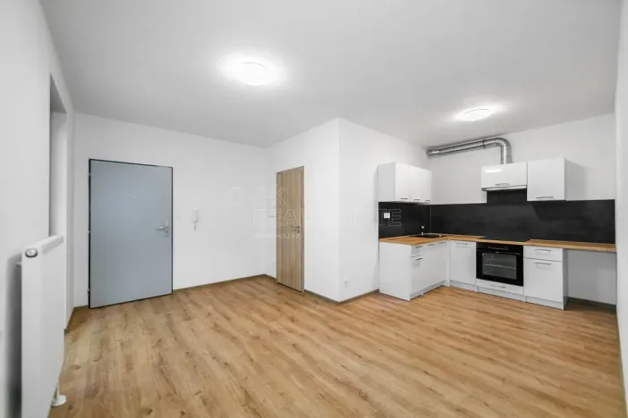 Pronájem bytu 2+kk, Plzeň, Poděbradova, 47 m2