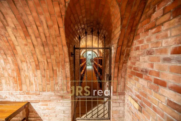 Prodej rodinného domu, Čejkovice, 468 m2