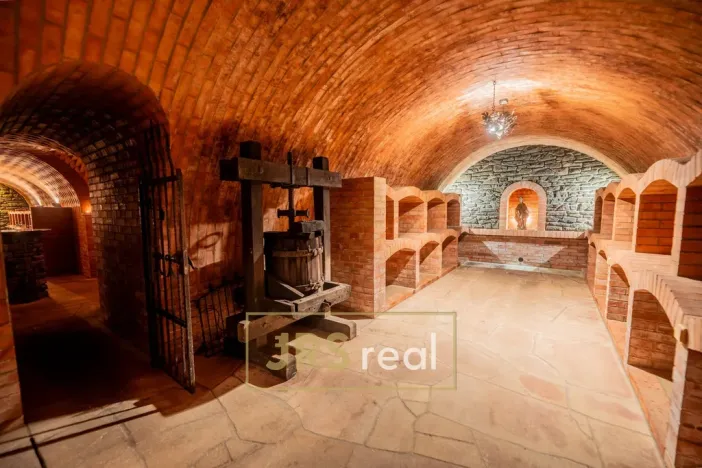 Prodej ubytování, Čejkovice, 468 m2