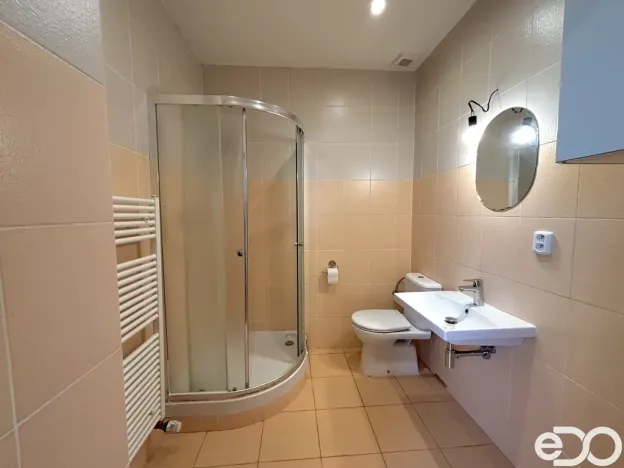 Pronájem bytu 2+kk, Holohlavy, Dlouhá, 38 m2